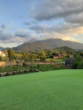 Casa cu mesteceni